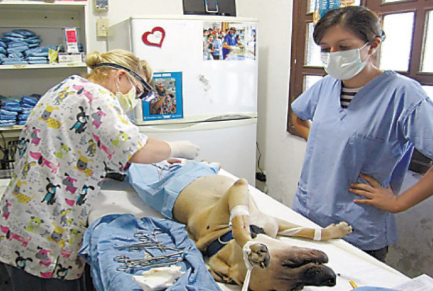 CIRUGIA 05