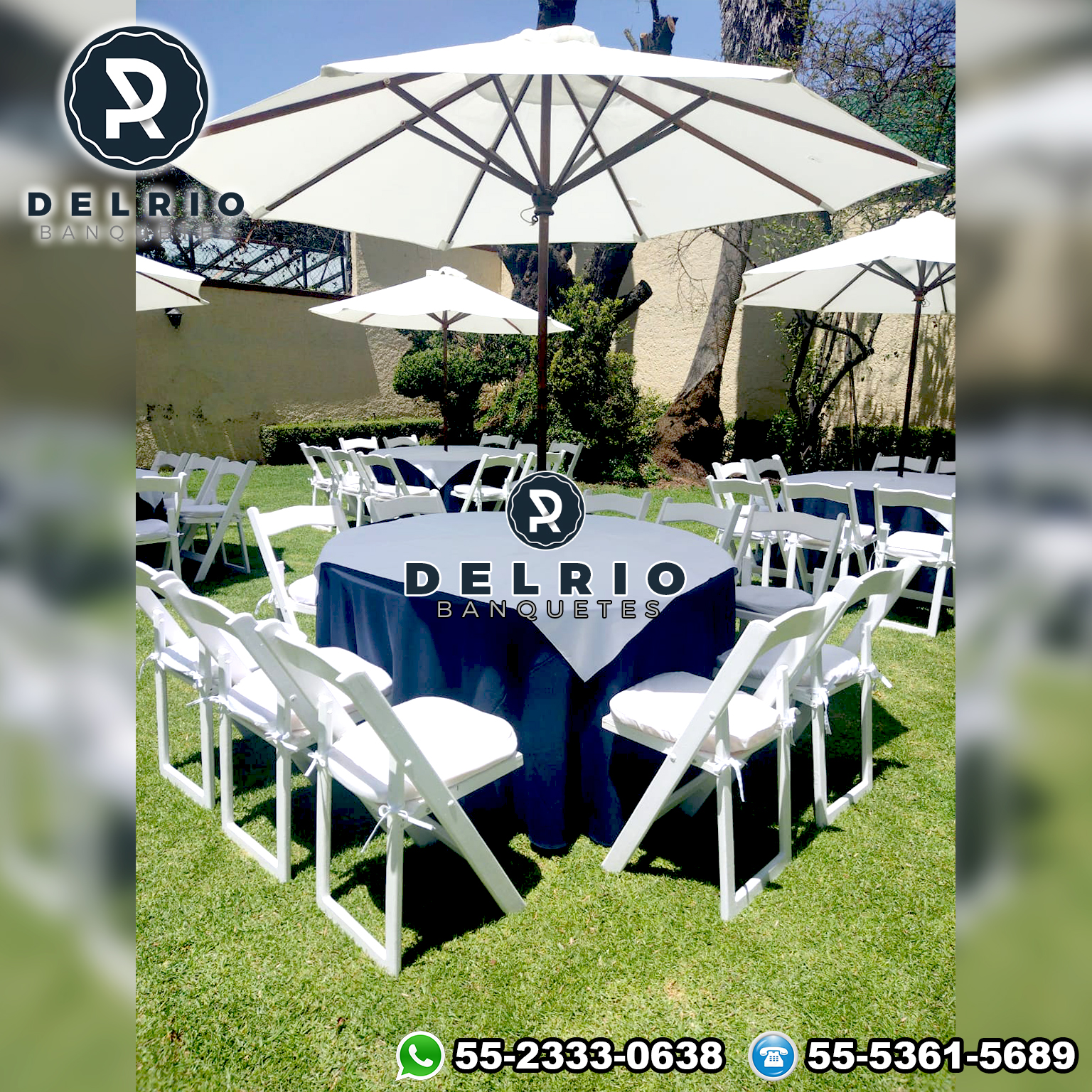 Del Rio Sillas Avant Garde 2
