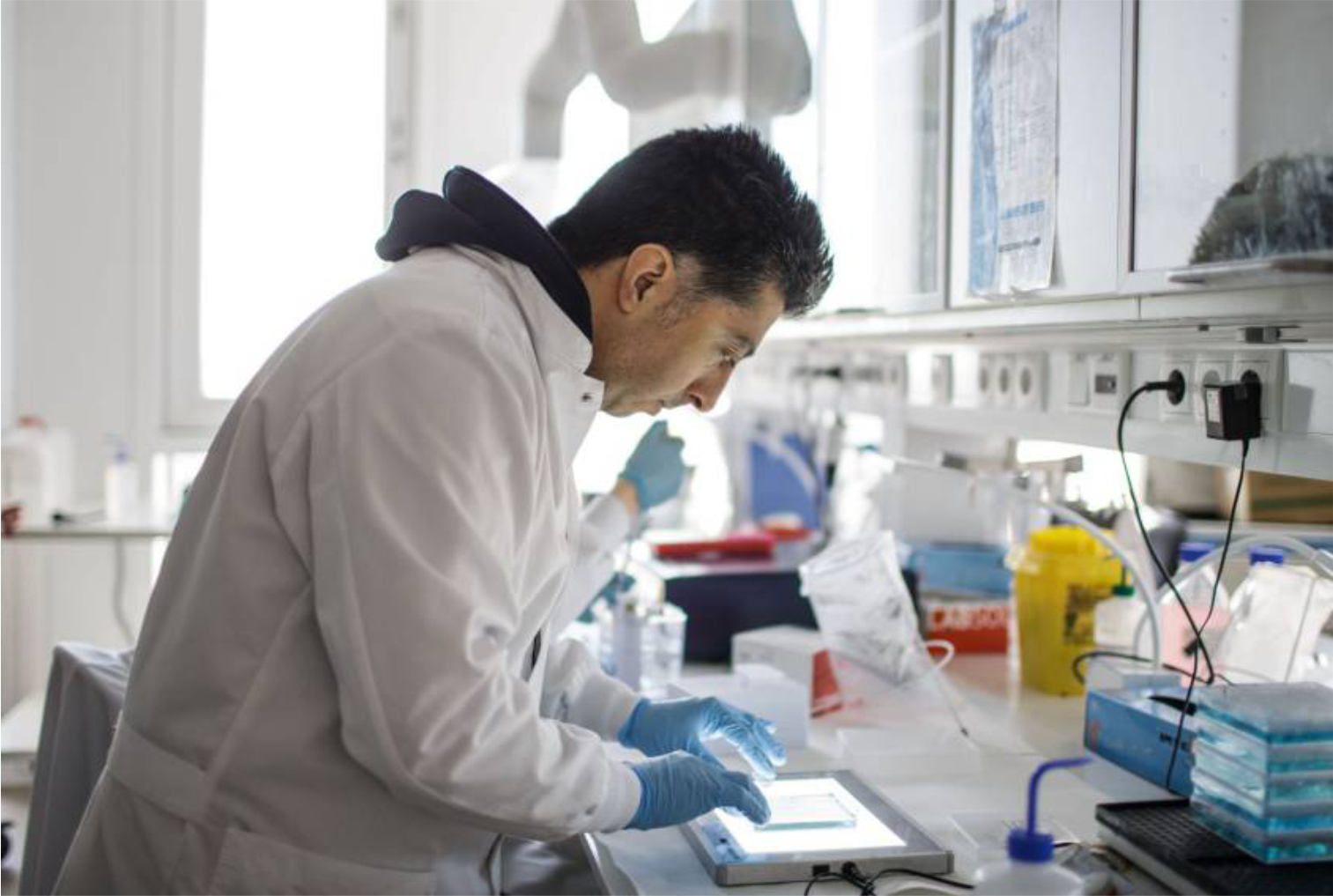 LABORATORIO 02