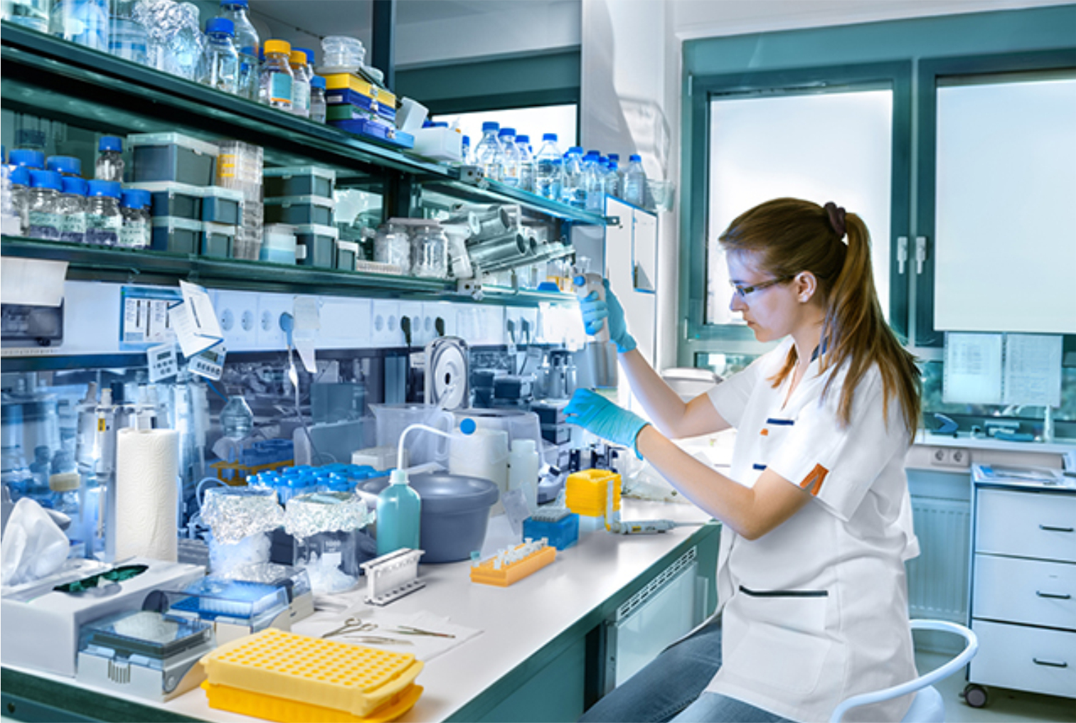 LABORATORIO 03