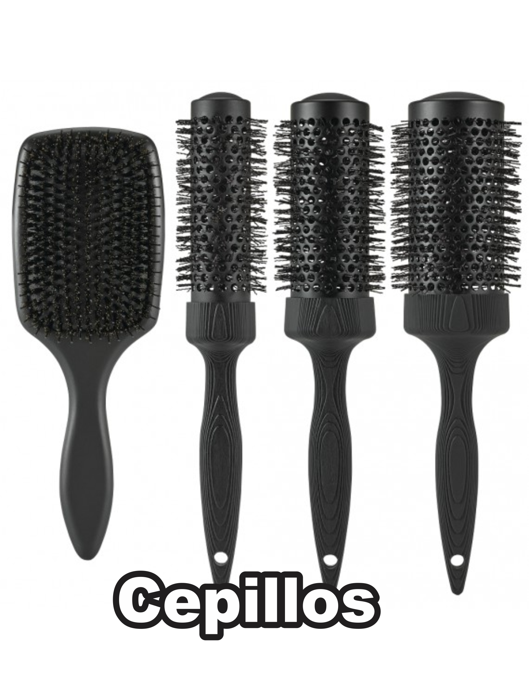 024-CEPILLOS MULTIREGALOS