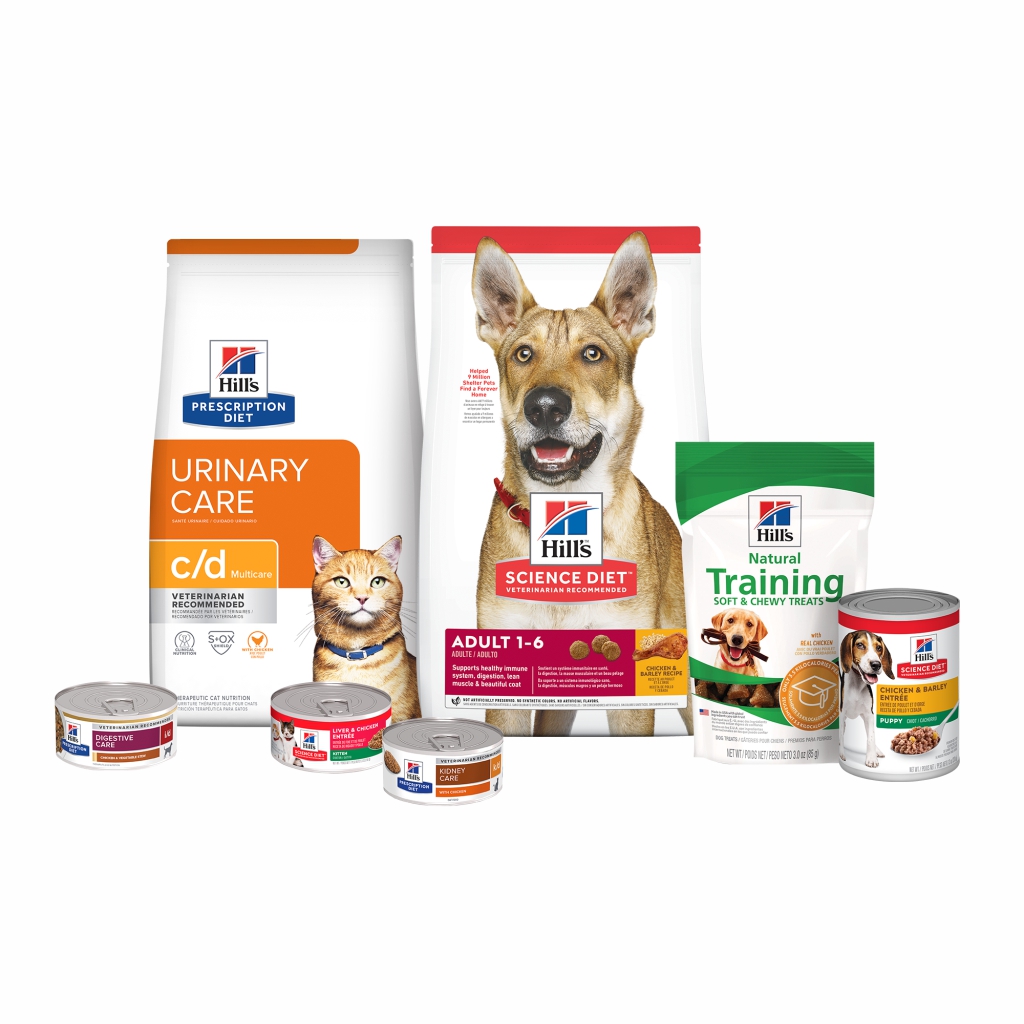 ALIMENTOS CLINICA VETERINARIA SUPER ALFA (4)
