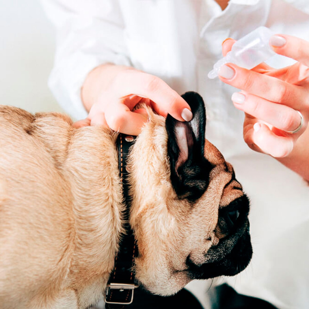 ANALISIS CLINICOS CLINICA VETERINARIA SUPER ALFA (1)