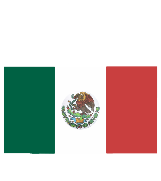 BANDERAS BANDERAS Y UNIFORMES ECRA (1)