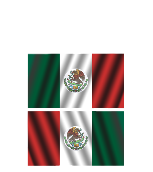 BANDERAS BANDERAS Y UNIFORMES ECRA (2)