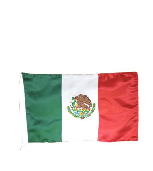 BANDERAS BANDERAS Y UNIFORMES ECRA (4)