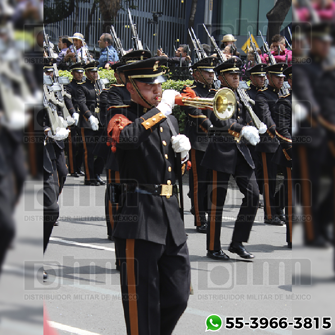 CORNETA DISTRIBUIDOR MILITAR DE MEXICO (3)