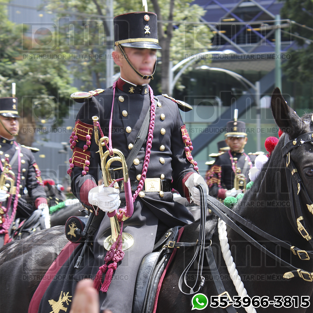 CORNETA DISTRIBUIDOR MILITAR DE MEXICO (4)
