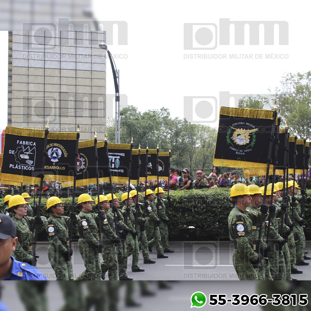 ESTANDARTES DISTRIBUIDOR DE MILITAR DE MEXICO (5)
