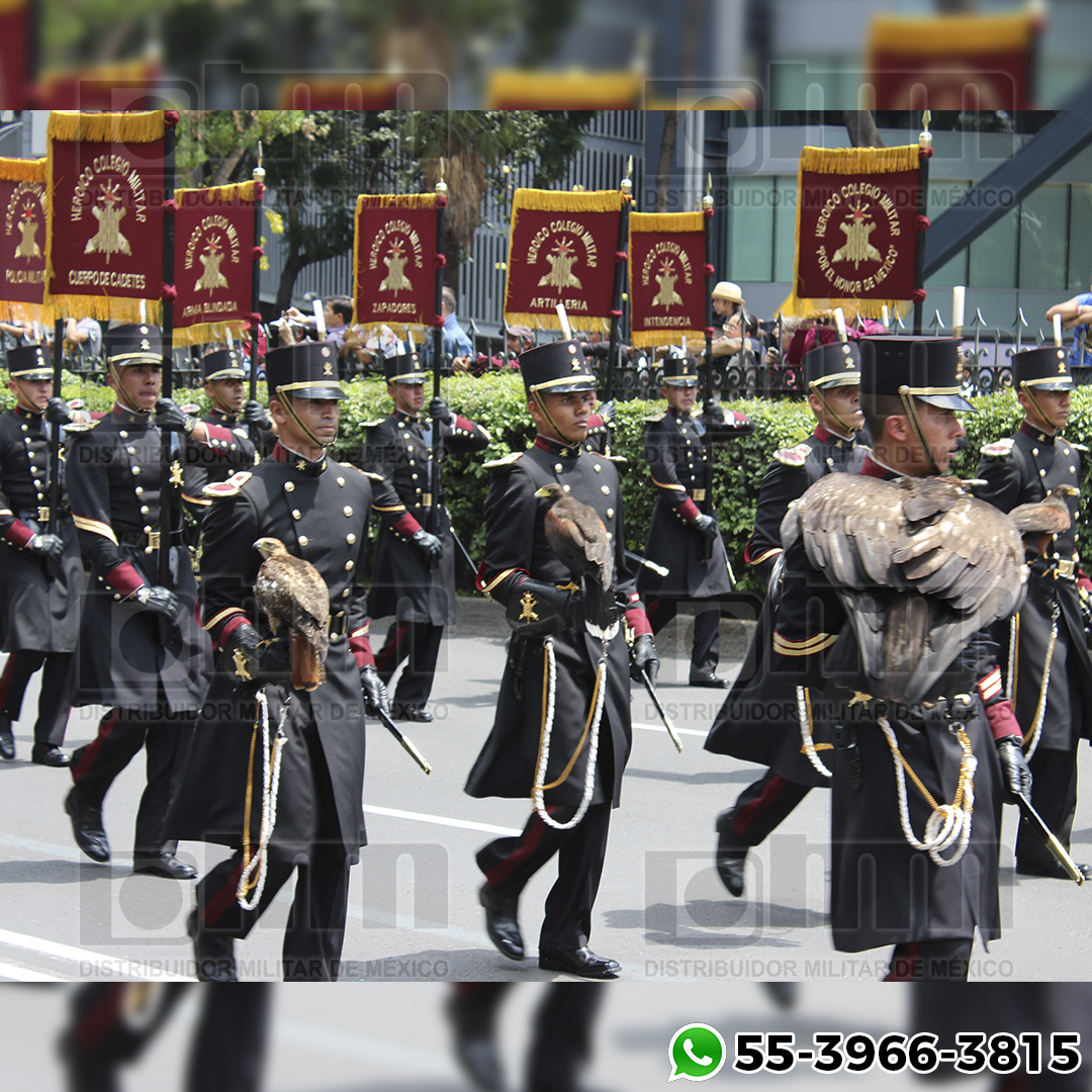 ESTANDARTES DISTRIBUIDOR DE MILITAR DE MEXICO (6)