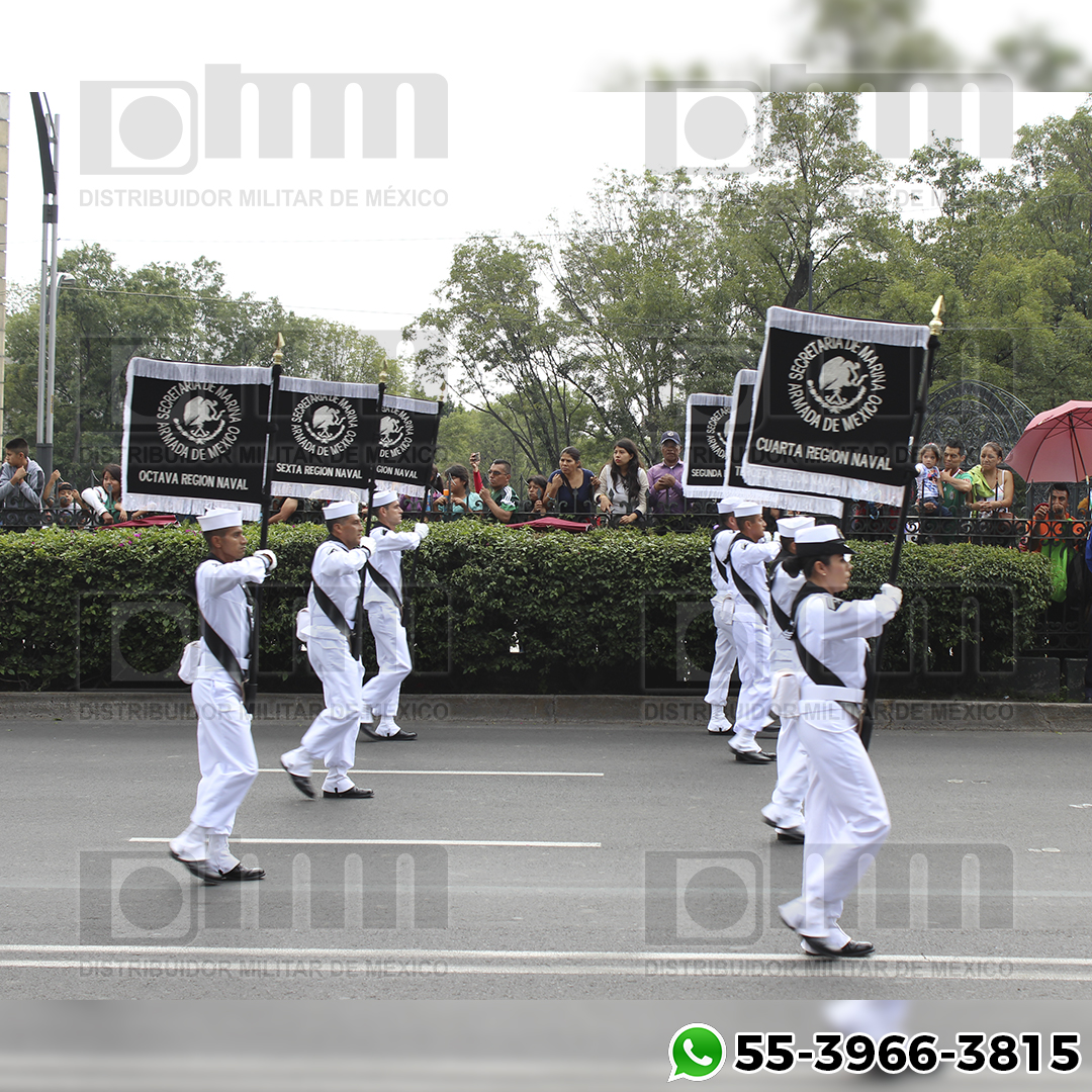 ESTANDARTES DISTRIBUIDOR DE MILITAR DE MEXICO (7)