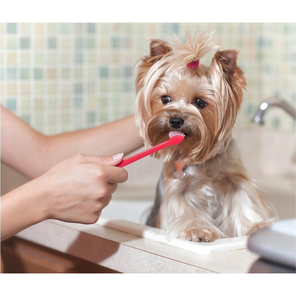 ESTETICA CANINA CLINICA VTERINARIA SUPER ALFA (3)
