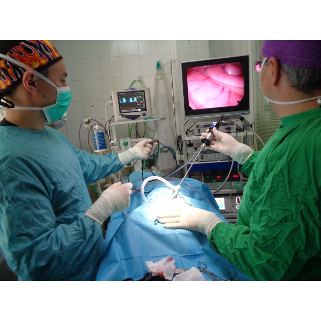 HOSPITALIZACIÓN CLINICA VETRINARIA SUPER ALFA (1)