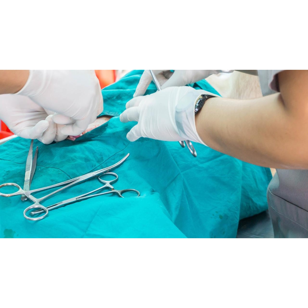HOSPITALIZACIÓN CLINICA VETRINARIA SUPER ALFA (3)