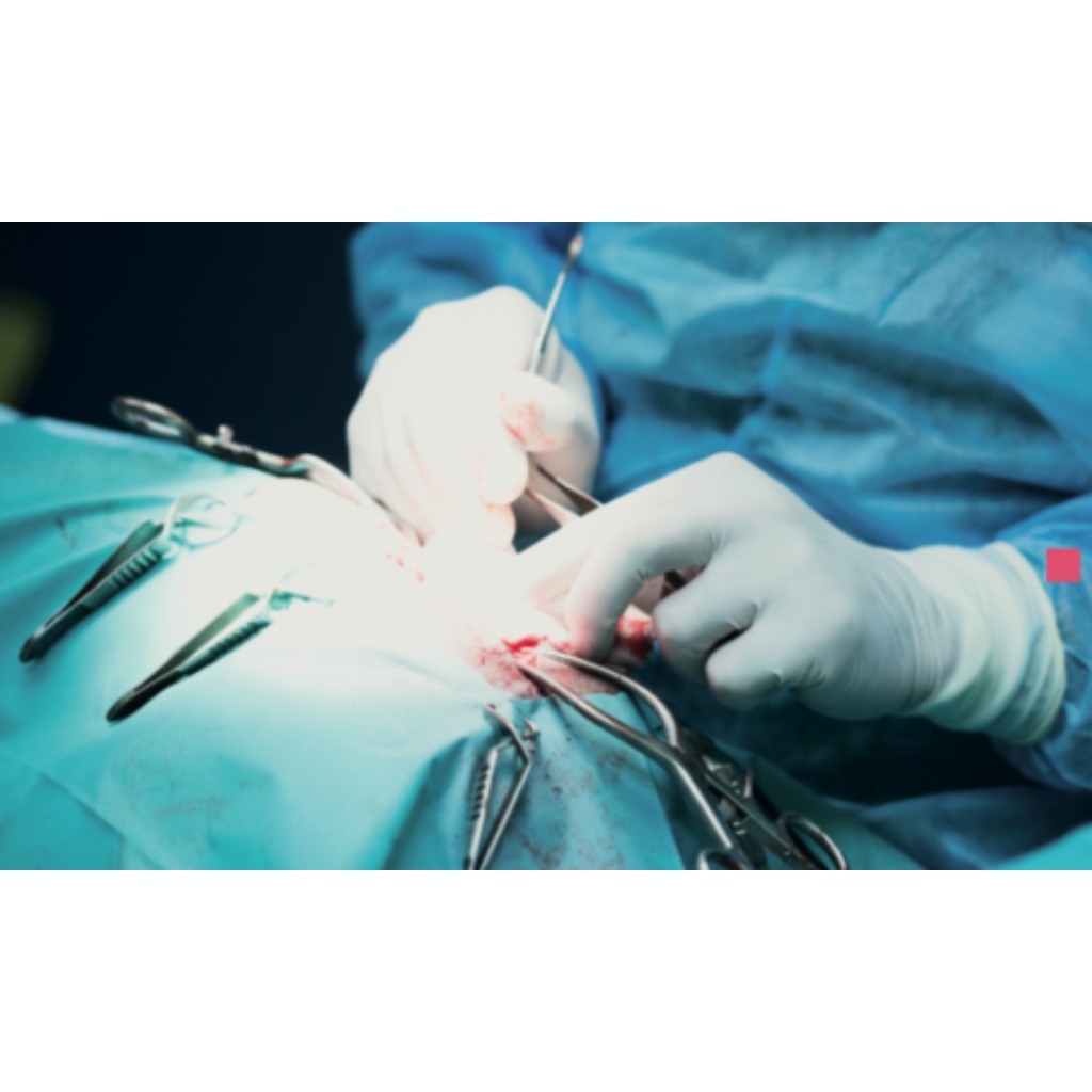 HOSPITALIZACIÓN CLINICA VETRINARIA SUPER ALFA (4)