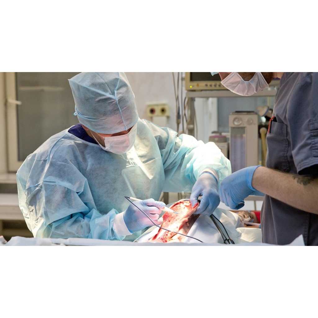 HOSPITALIZACIÓN CLINICA VETRINARIA SUPER ALFA (5)
