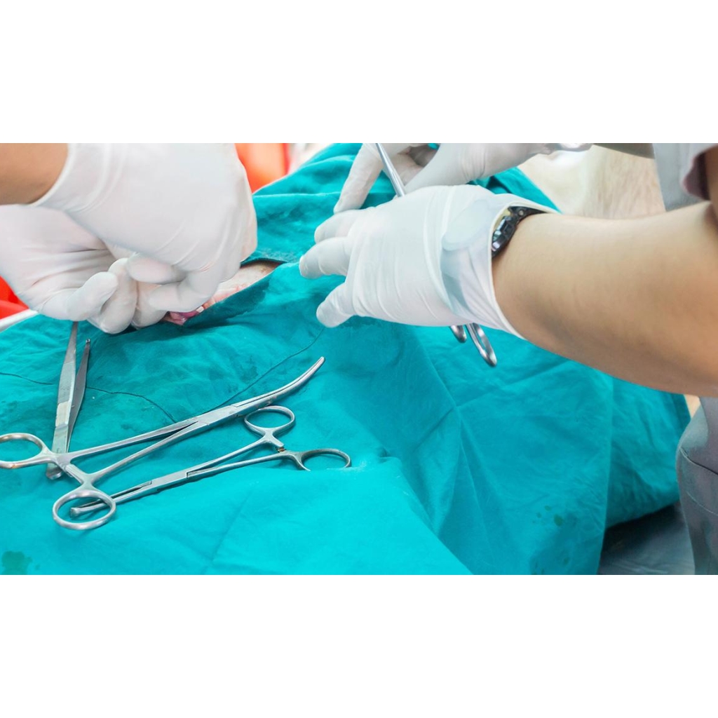 HOSPITALIZACIÓN CLINICA VETRINARIA SUPER ALFA (6)