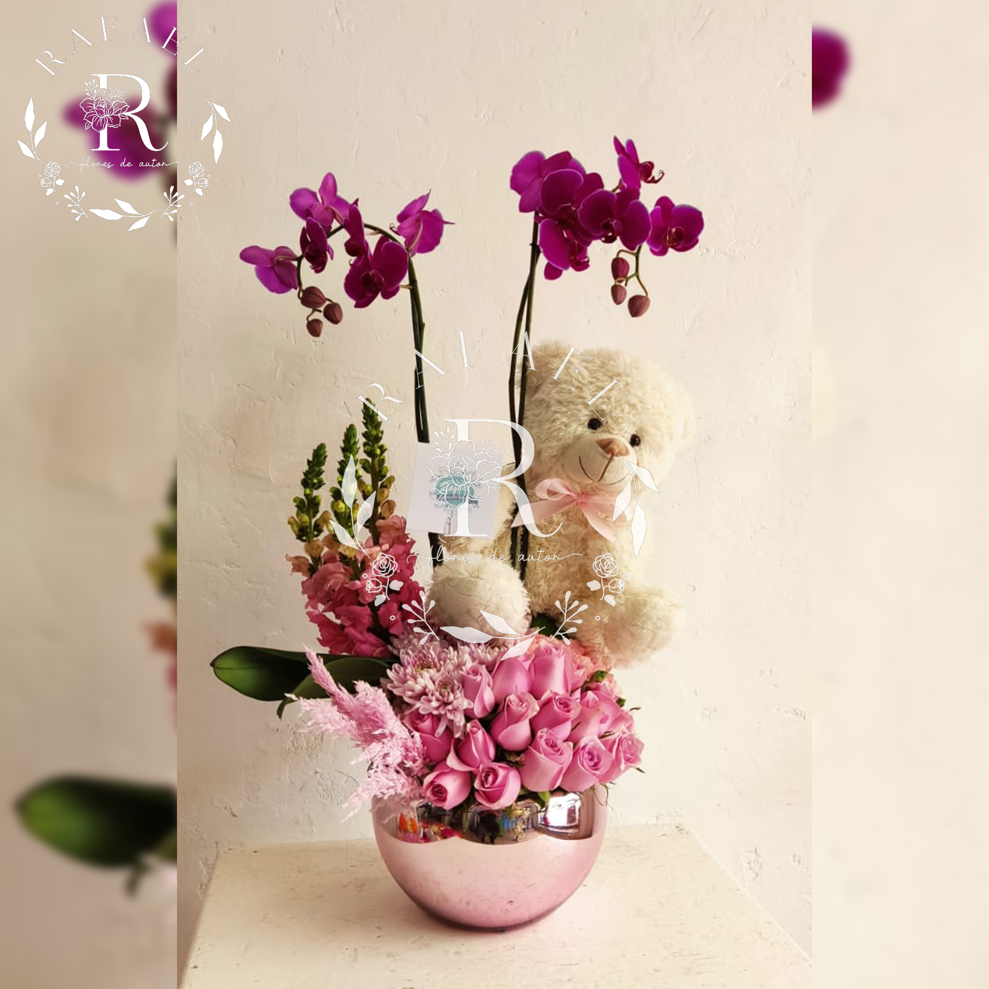 ORQUIDEAS PARA TODA OCACIÓN (1)