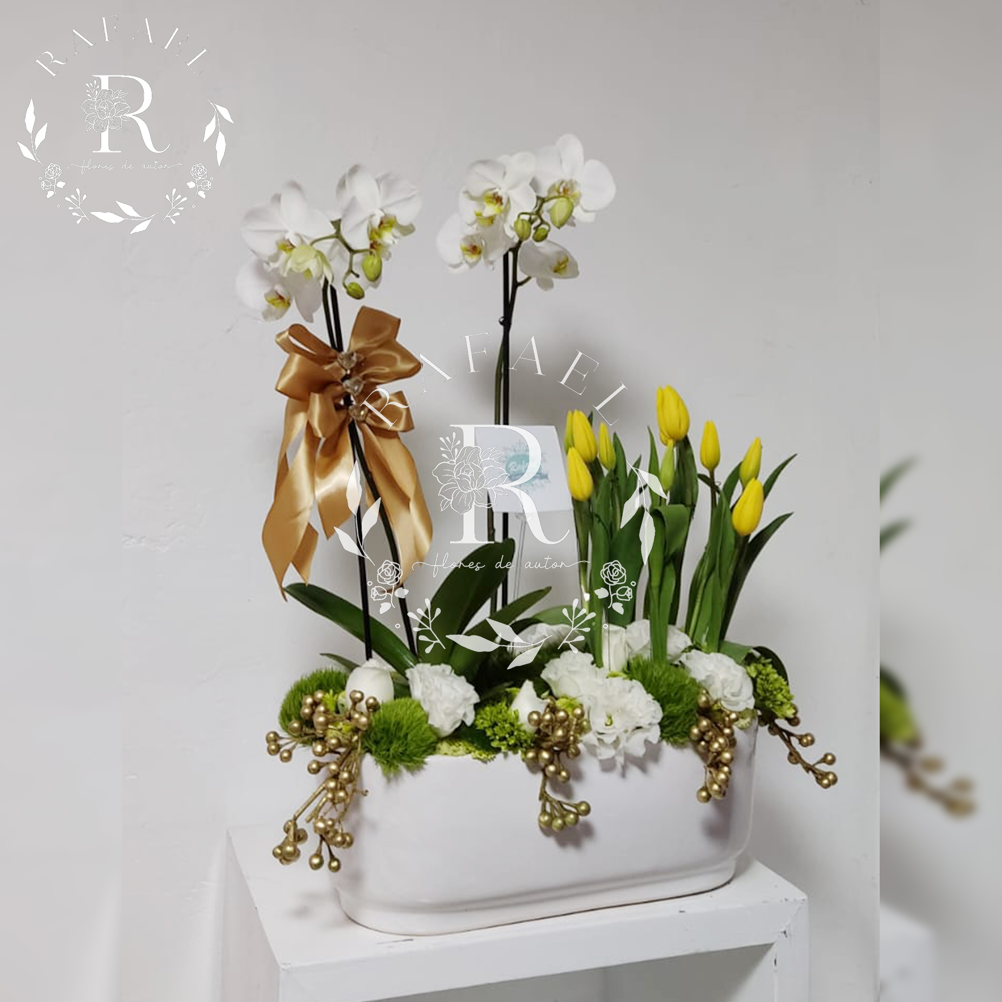 ORQUIDEAS PARA TODA OCACIÓN (10)