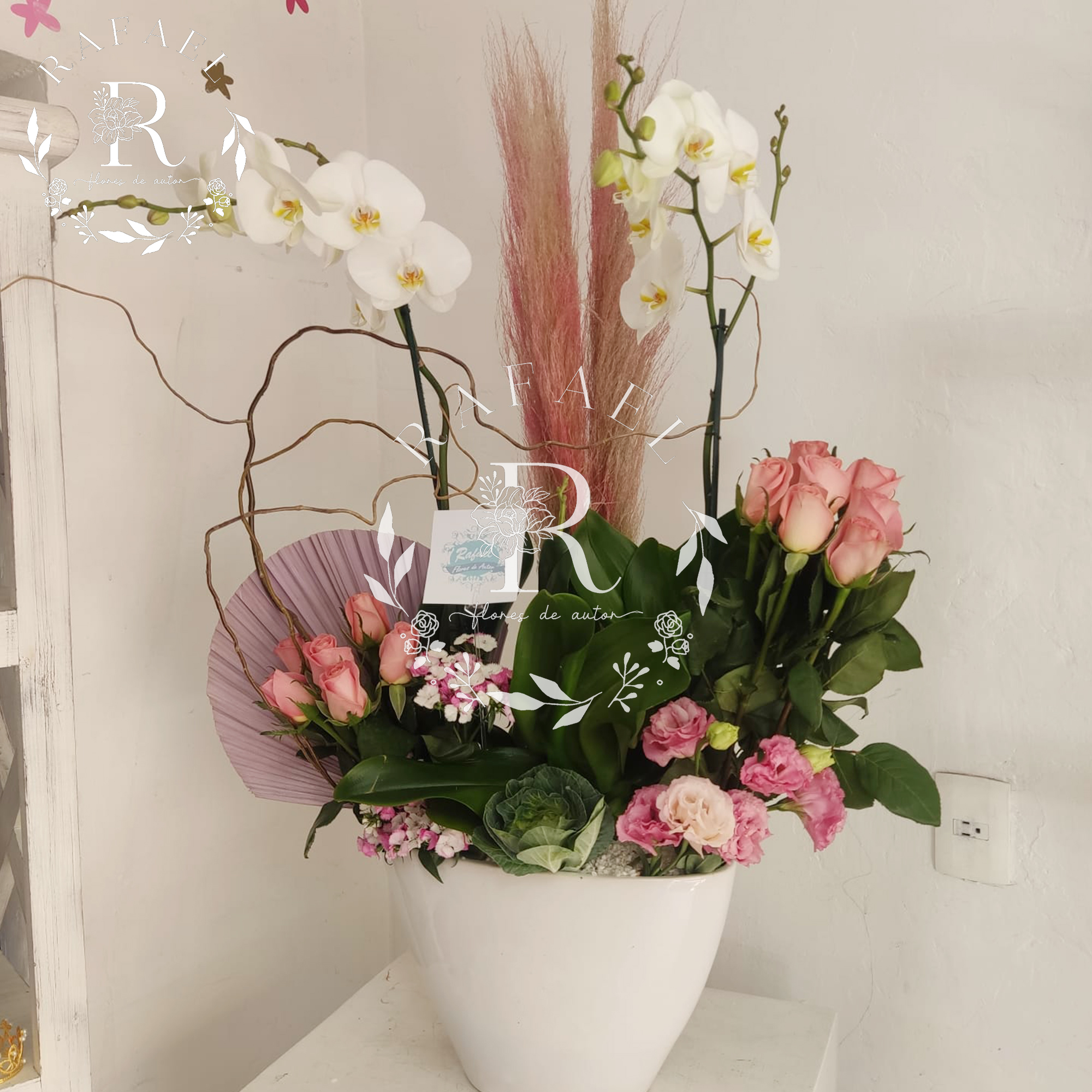 ORQUIDEAS PARA TODA OCACIÓN (14)