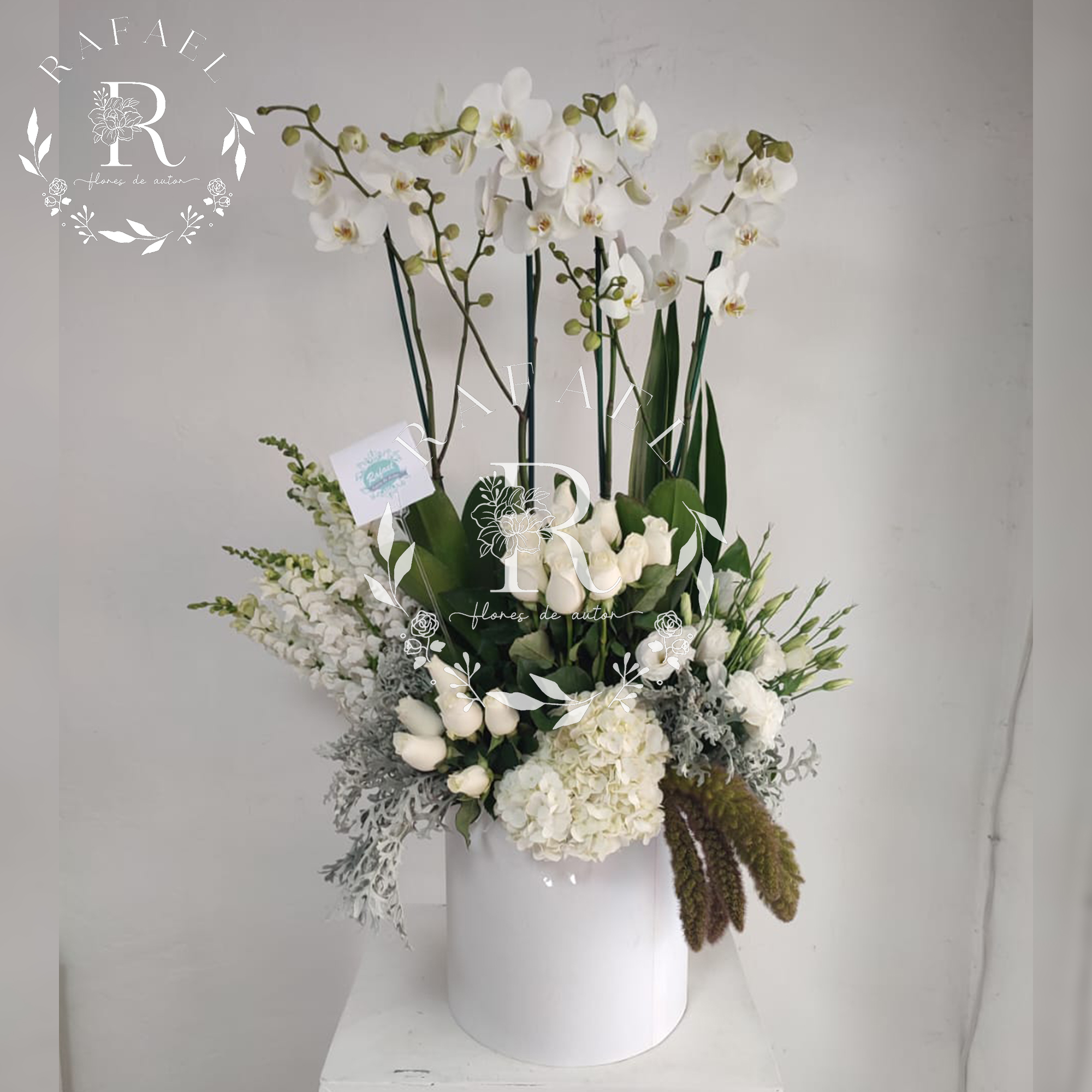 ORQUIDEAS PARA TODA OCACIÓN (18)