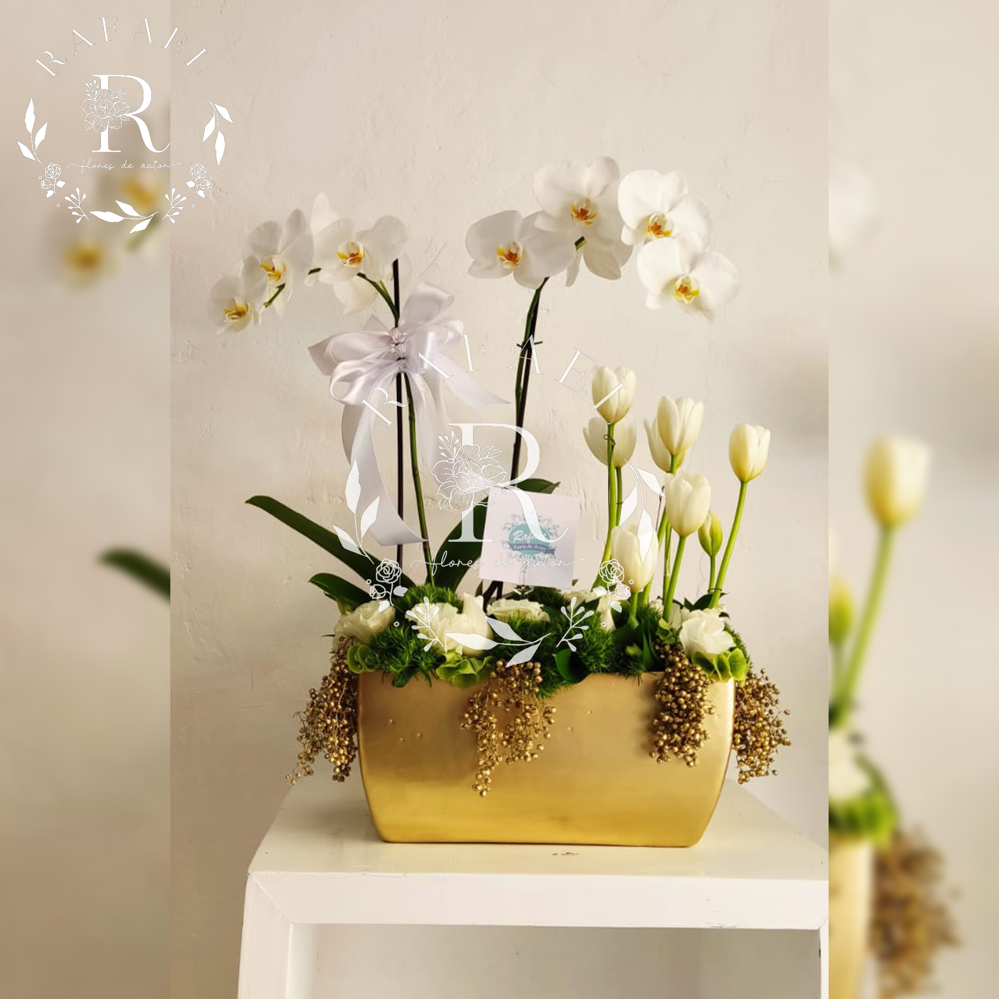 ORQUIDEAS PARA TODA OCACIÓN (4)