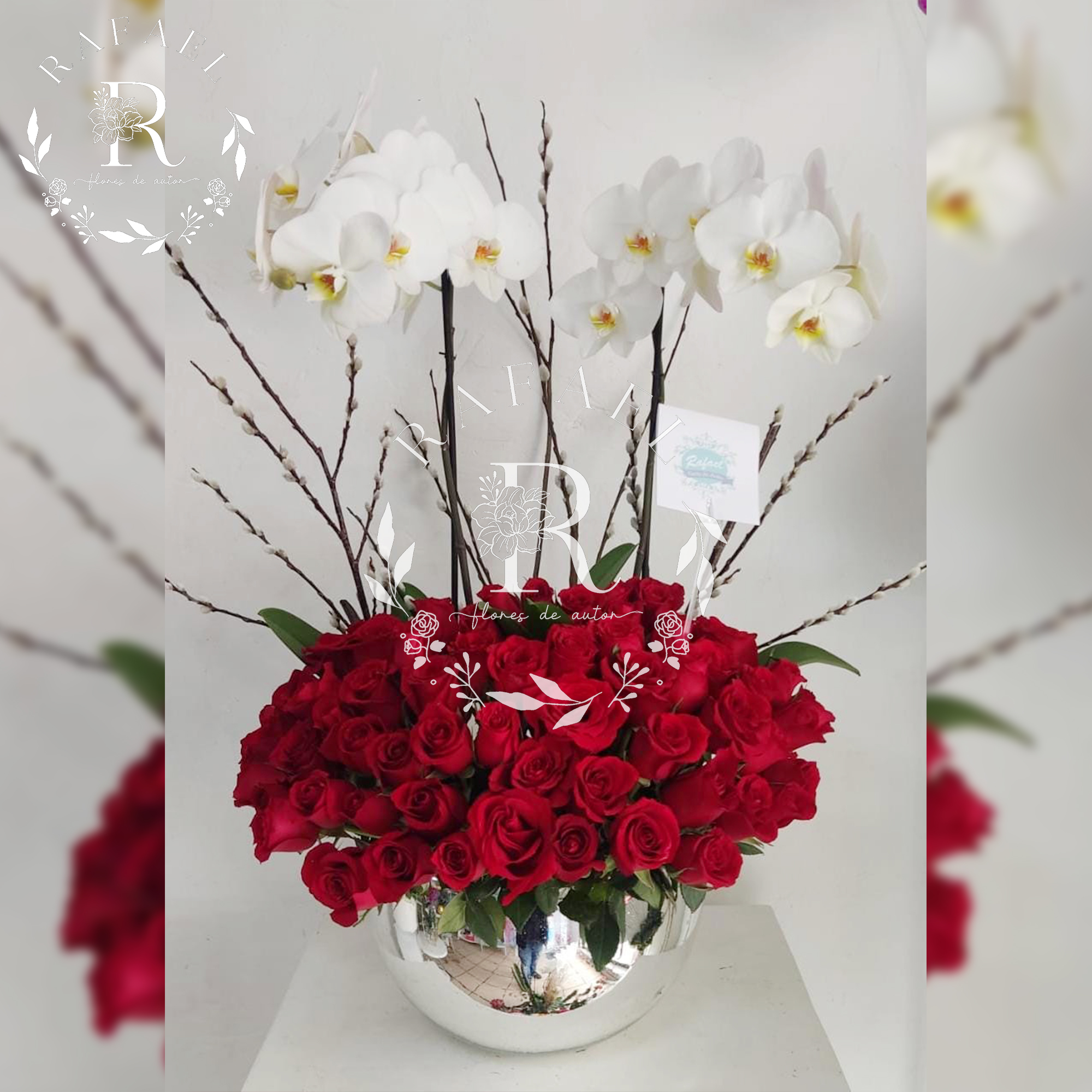 ORQUIDEAS PARA TODA OCACIÓN (5)
