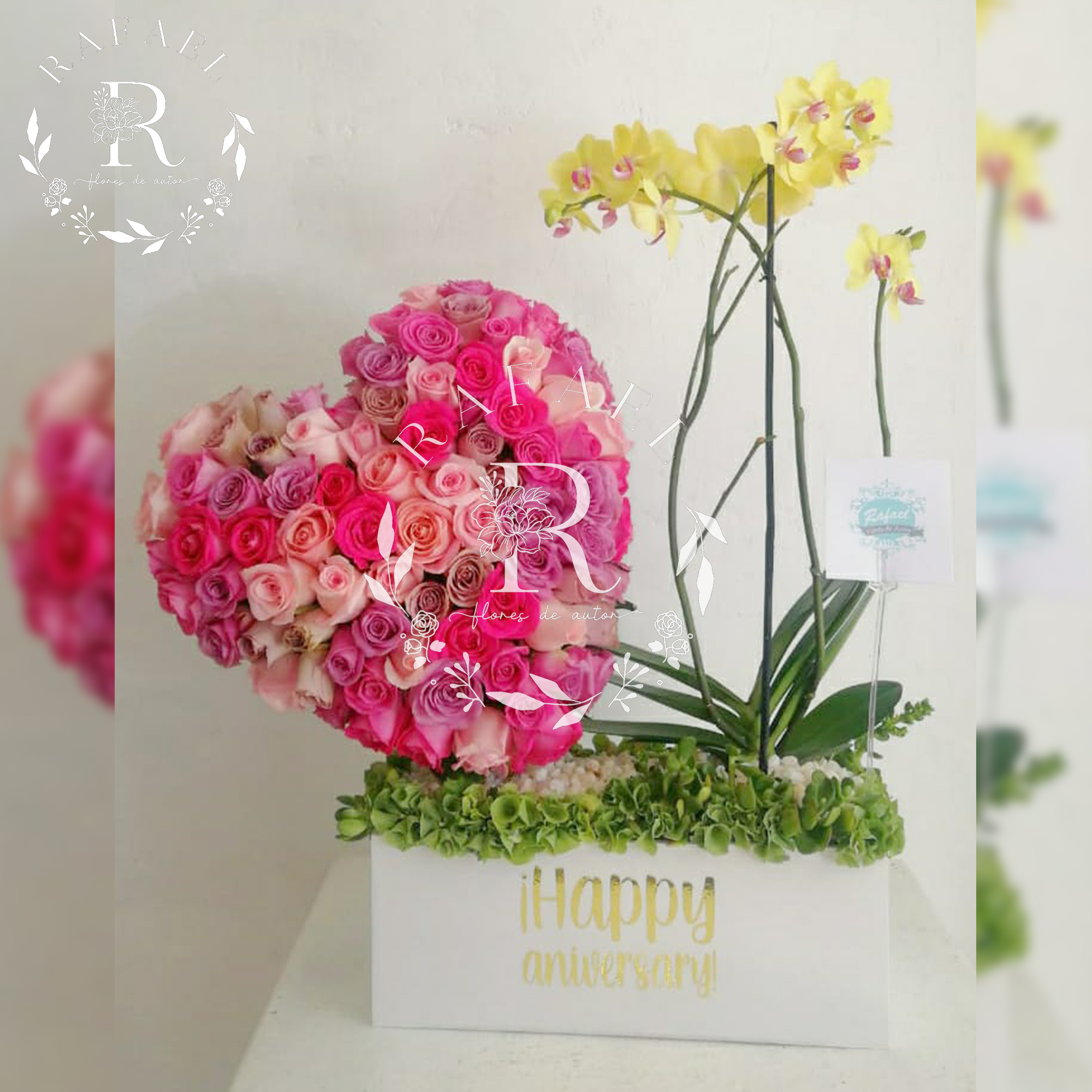 ORQUIDEAS PARA TODA OCACIÓN (8)