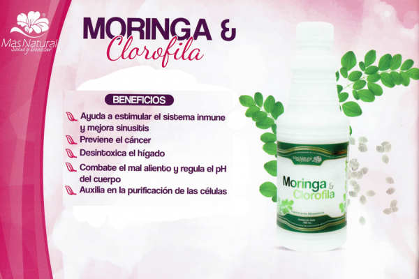 MORINGA-E-CLAROFILA-copia-ov4wqaj9s9ic52lvjw65ndpzsfs0ygfu0xlifabbmo