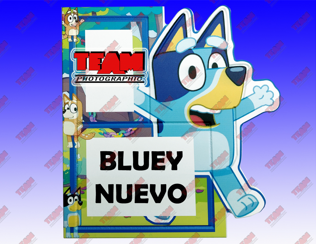 107-bluey copy