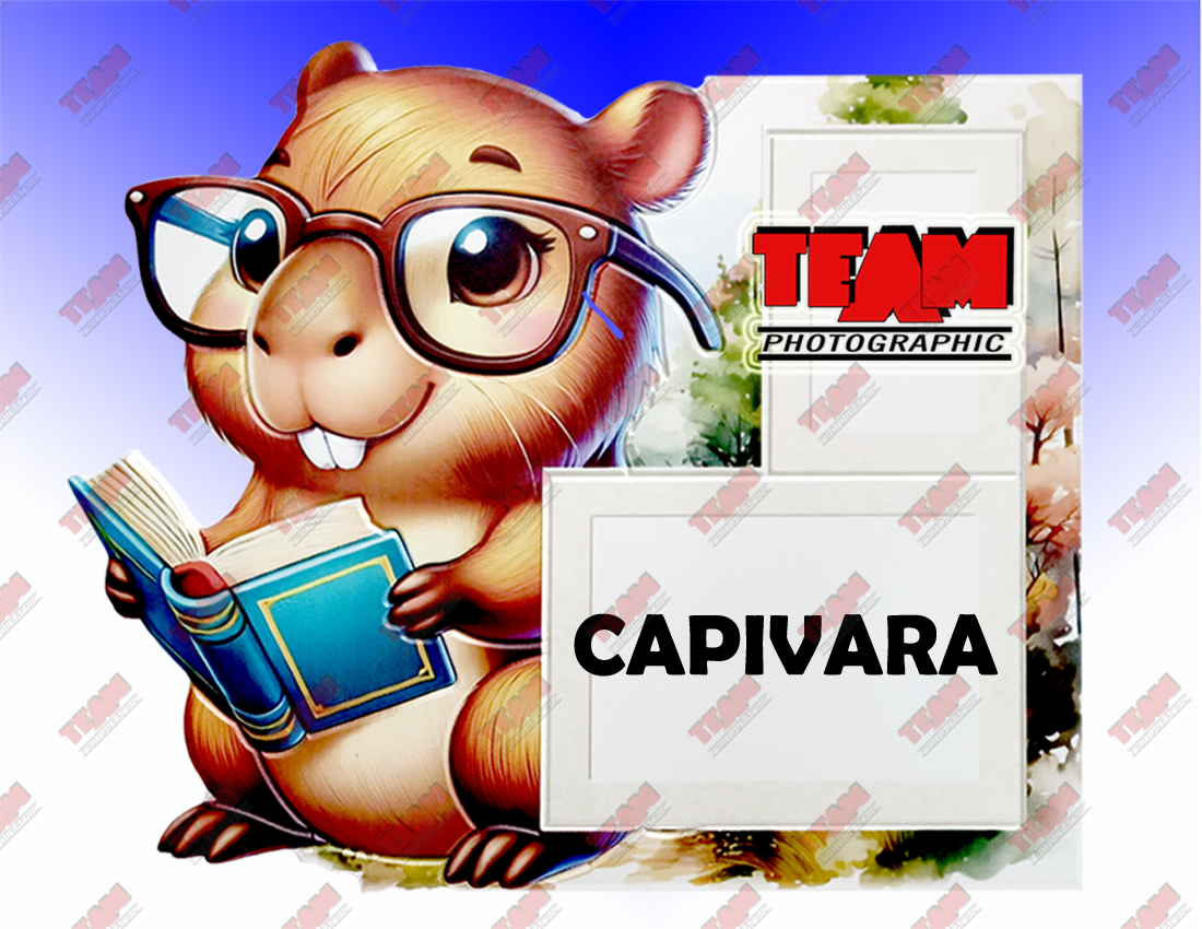 111-capivaraa copy