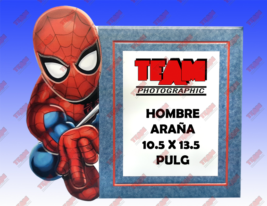 112-h araña 11x14 copy