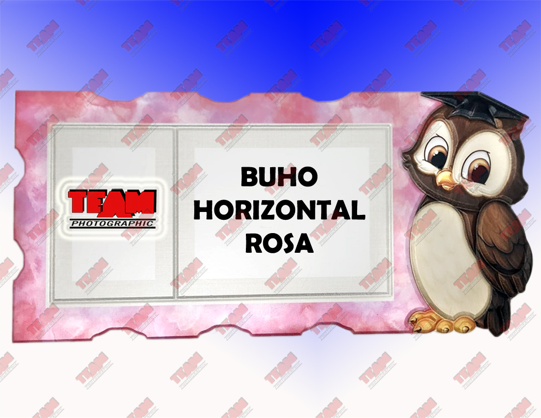18-buho rosa h copy