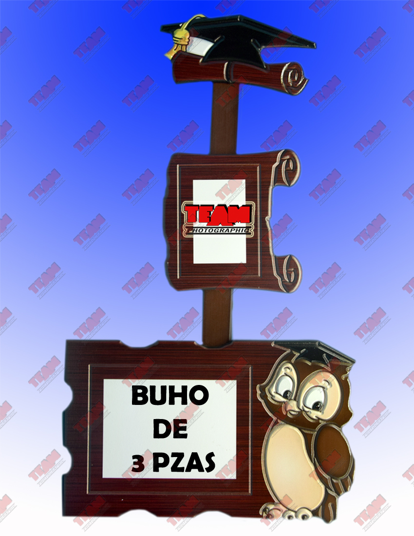 25-buho de 3 pzas copy