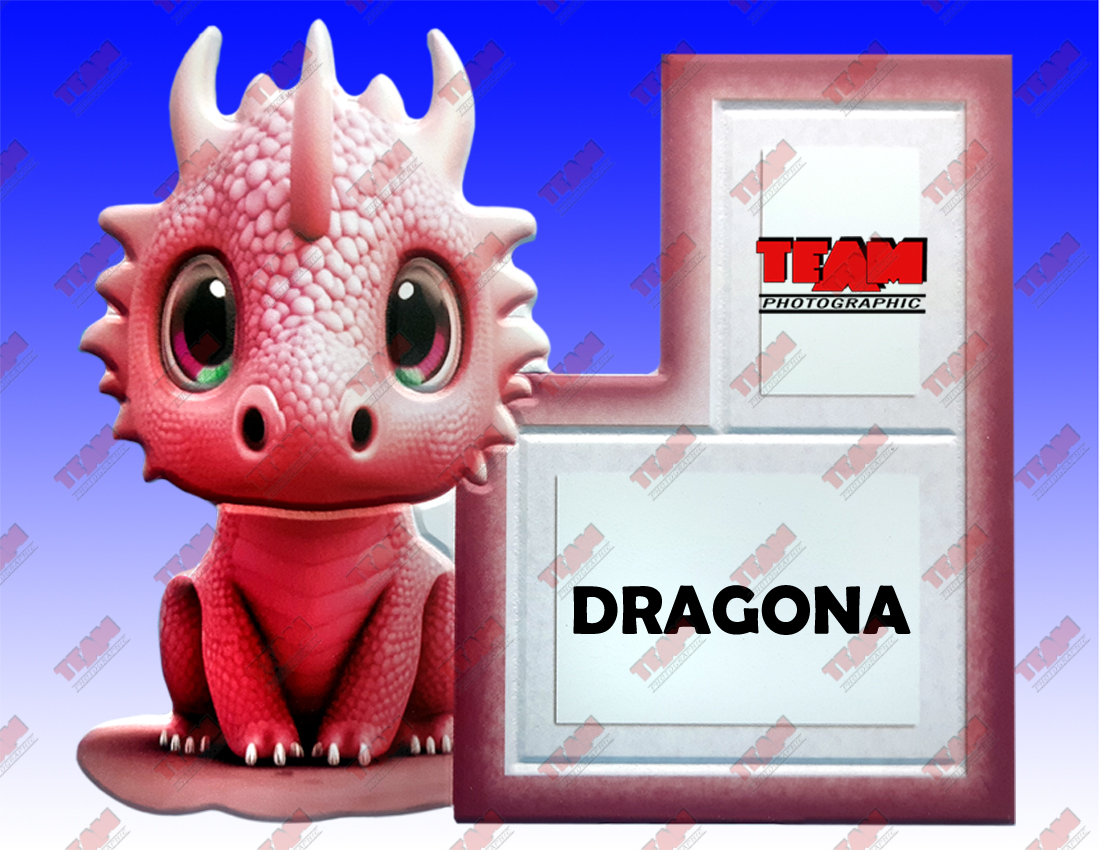 85-dragona copy